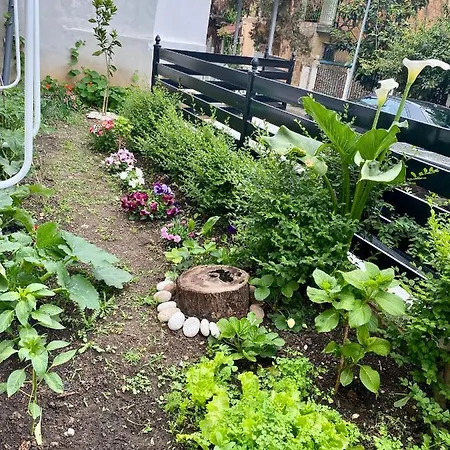 Ariana Apartament Vakantiehuis